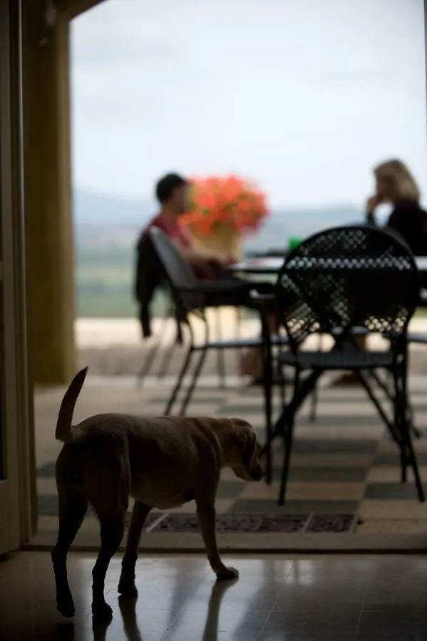 Tenuta Il Sassone - Wine&Food Massa Marittima Italy