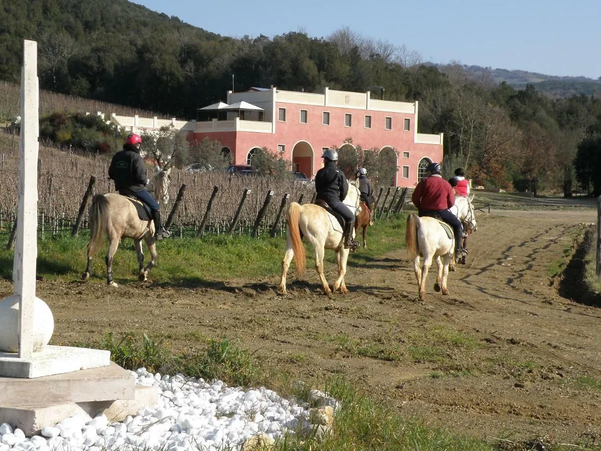 Landhuis Tenuta Il Sassone - Wine&Food Massa Marittima