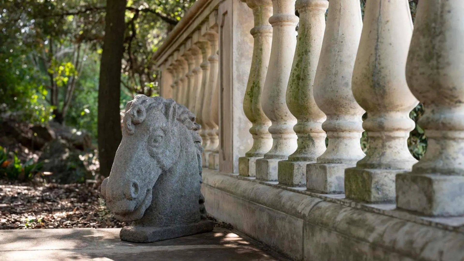 Country house Tenuta Il Sassone - Wine&Food Massa Marittima