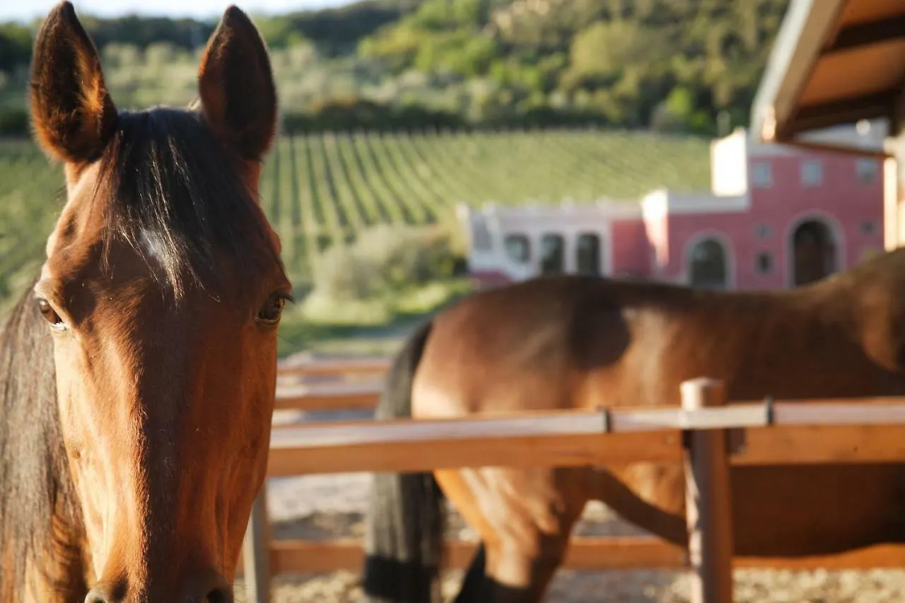 Country house Tenuta Il Sassone - Wine&Food Massa Marittima