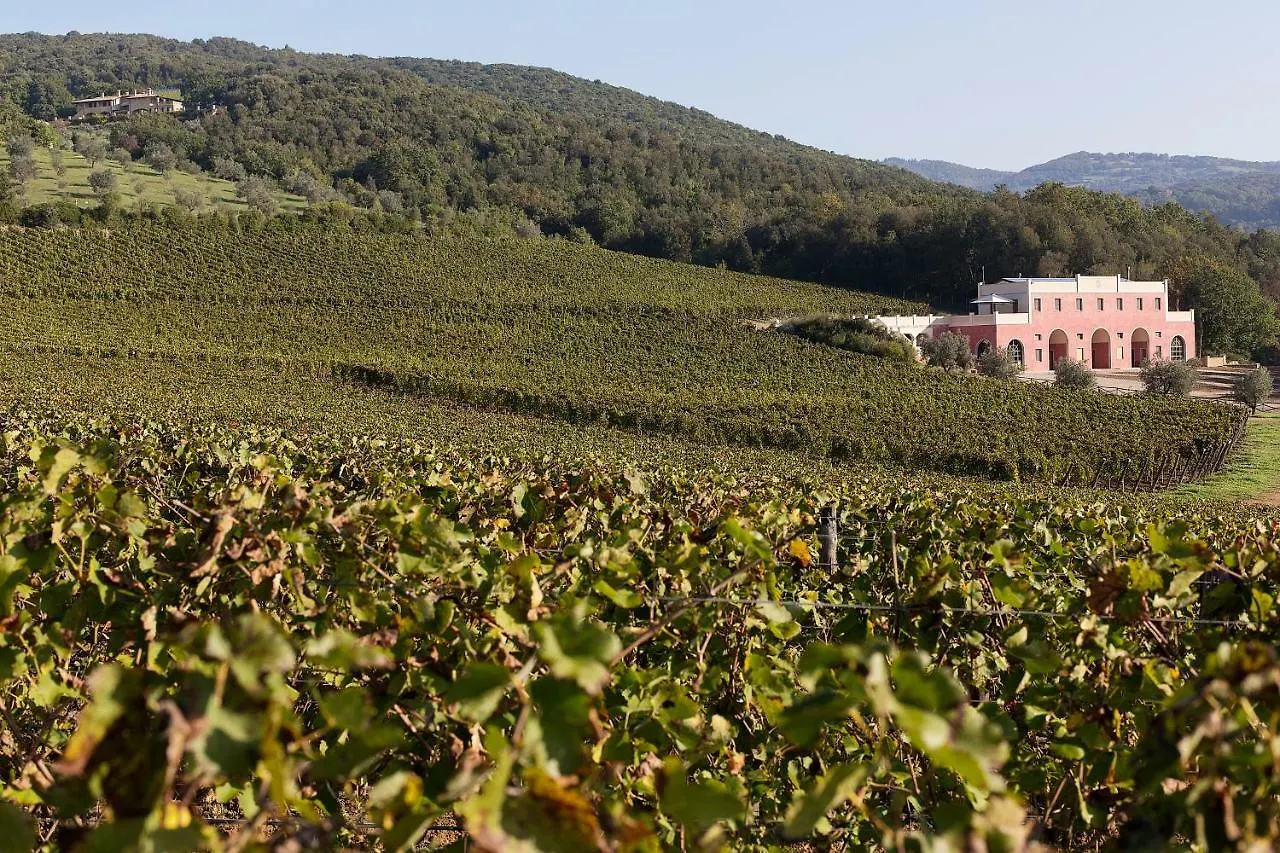 Tenuta Il Sassone - Wine&Food Massa Marittima Country house