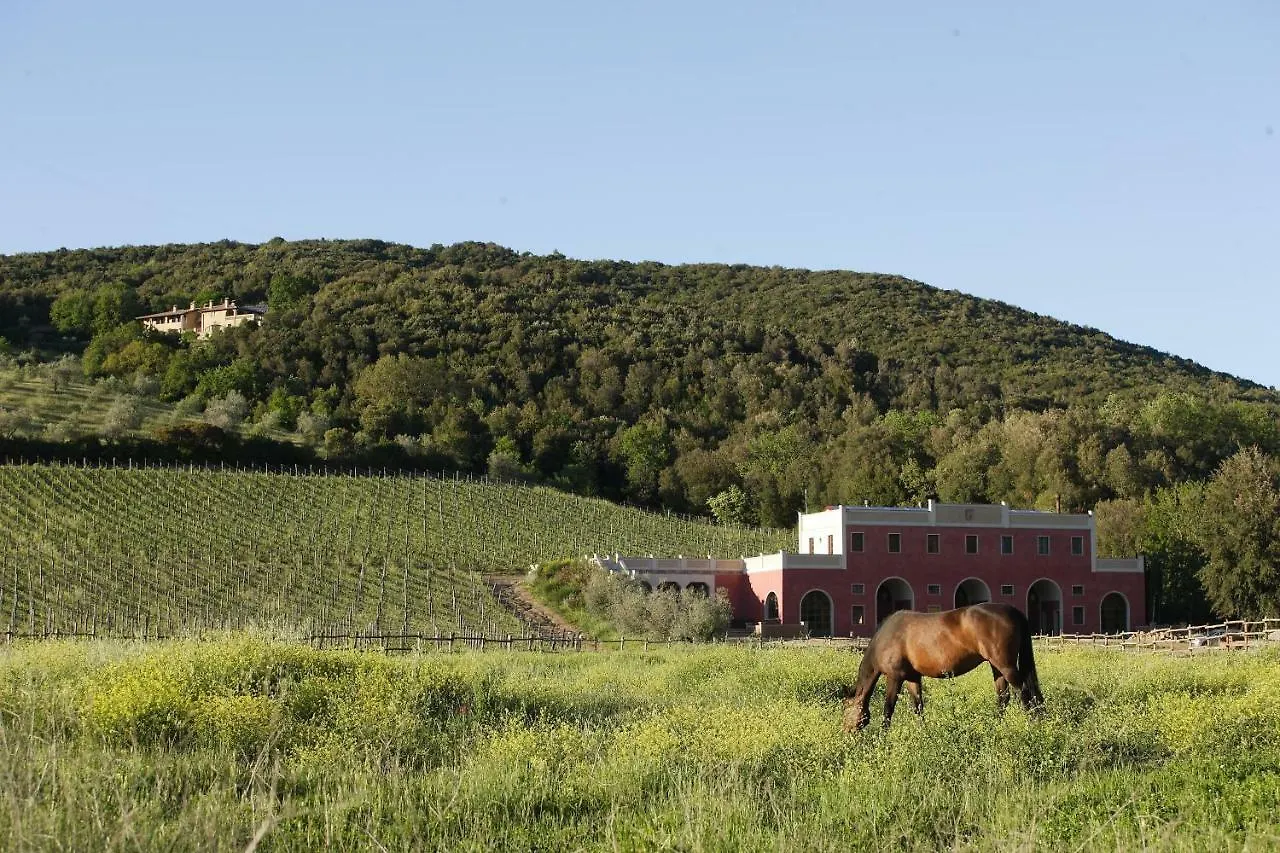 Tenuta Il Sassone - Wine&Food Massa Marittima