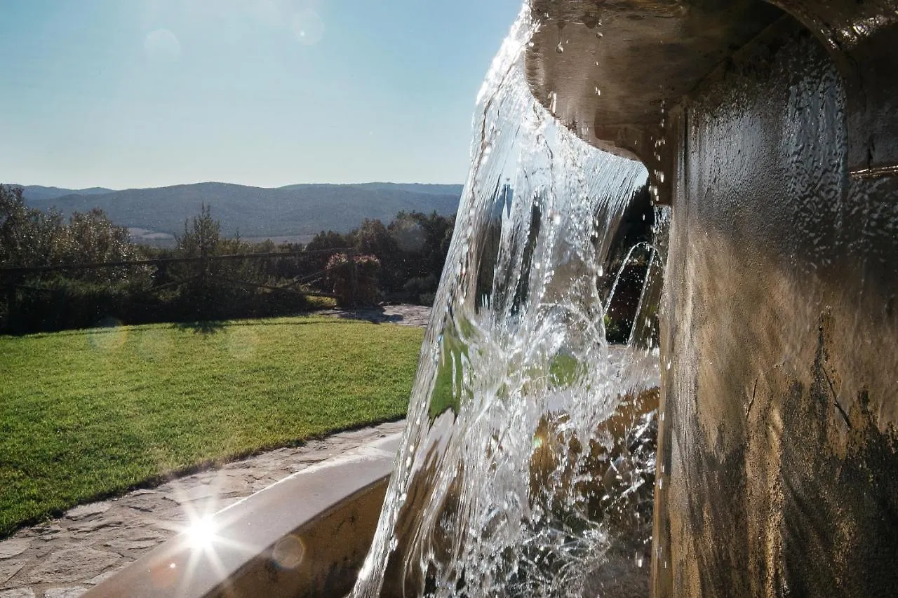 Tenuta Il Sassone - Wine&Food Massa Marittima 0*,  Italy